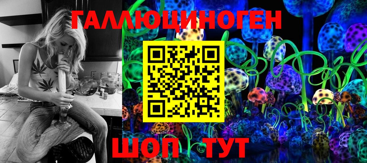 купить закладку  Галлюциногенные грибы Psilocybe  Вход с VPN  Таганрог 